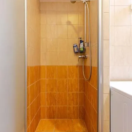 Apartman Spacious For Group In Centre Budapest