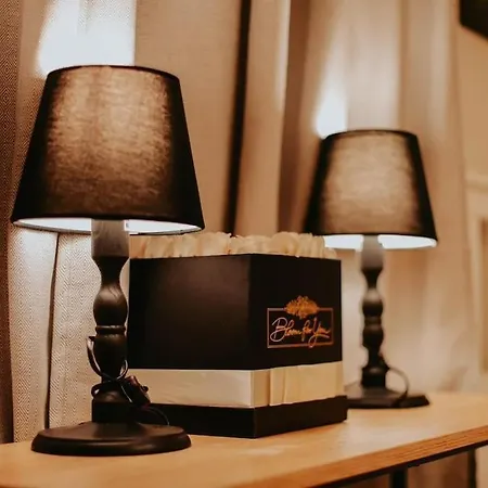 Spacious For Group In Centre Apartman