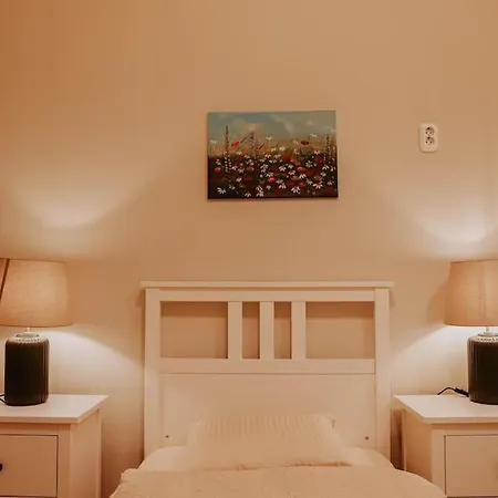 Apartman Spacious For Group In Centre