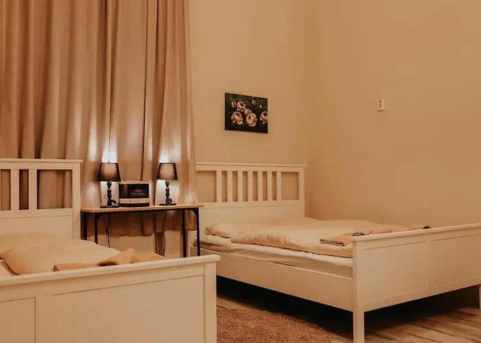 Apartament Spacious For Group In Centre Budapesta