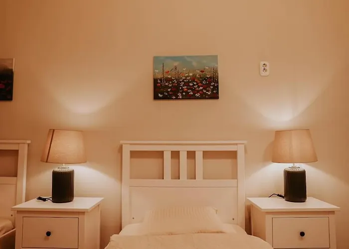 Apartament Spacious For Group In Centre