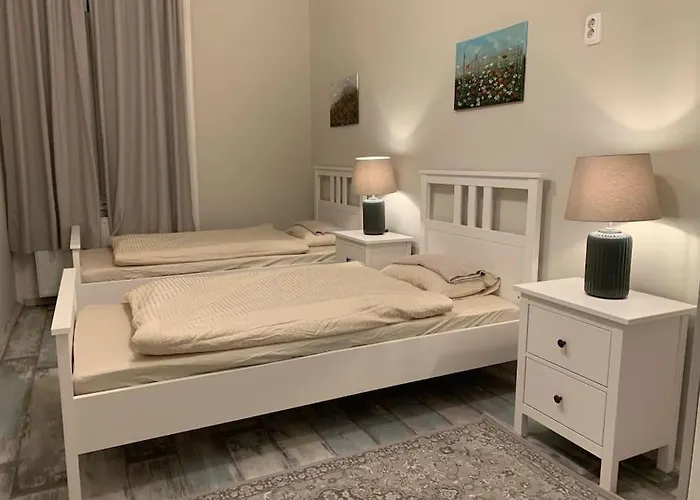 Spacious For Group In Centre Apartment